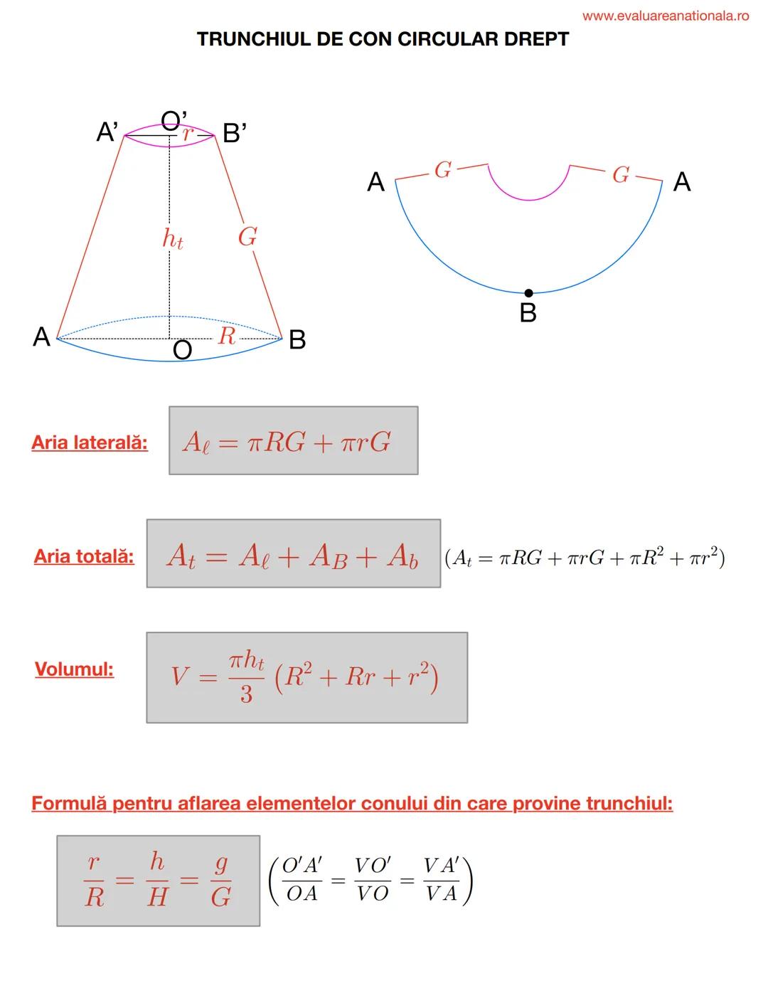 I. BISECTOAREA
Def.
www.evaluareanationala.ro
LINII IMPORTANTE ÎN TRIUNGHI
Se numeşte BISECTOARE acea semidreaptă care împarte unghiul în do