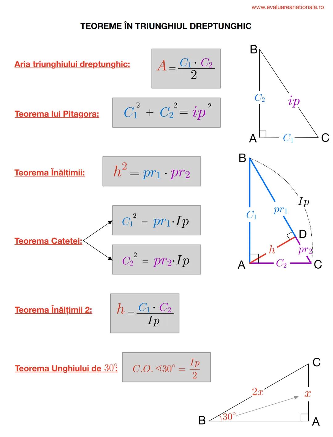 I. BISECTOAREA
Def.
www.evaluareanationala.ro
LINII IMPORTANTE ÎN TRIUNGHI
Se numeşte BISECTOARE acea semidreaptă care împarte unghiul în do