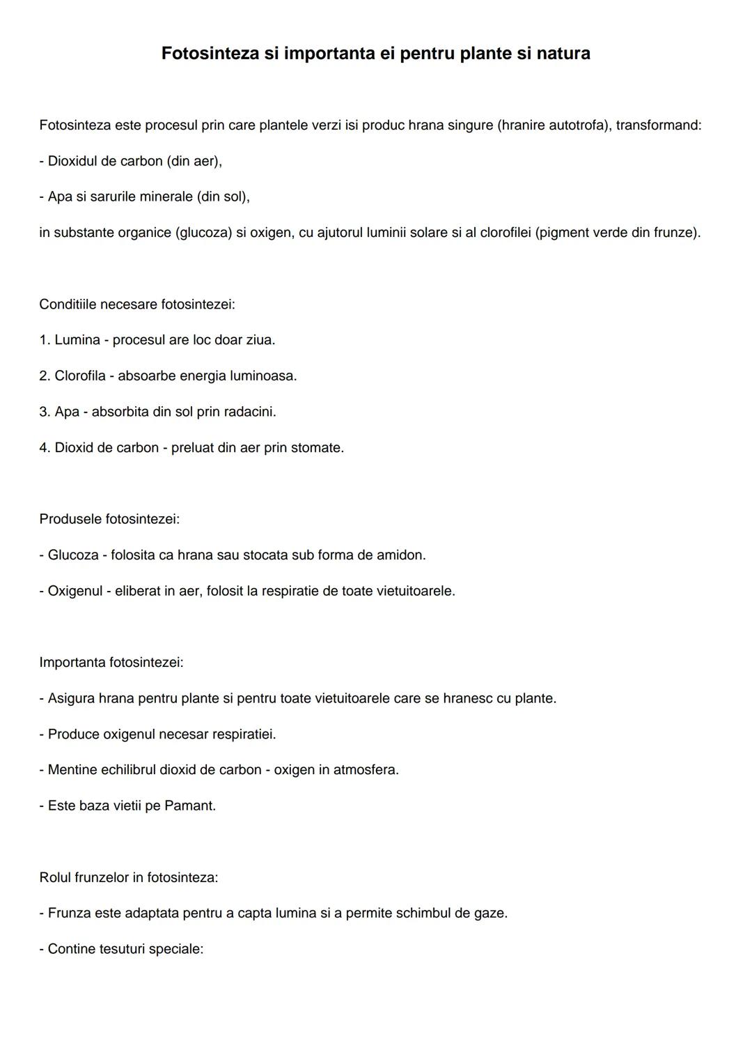 Rezumat Fotosinteza-clasa a6a