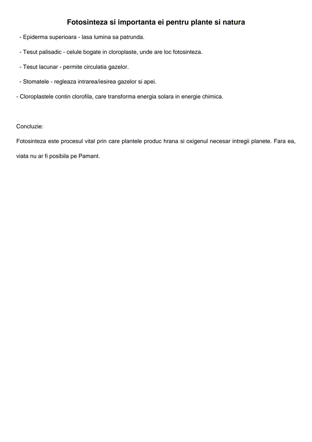 Fotosinteza si importanta ei pentru plante si natura
Fotosinteza este procesul prin care plantele verzi isi produc hrana singure (hranire au