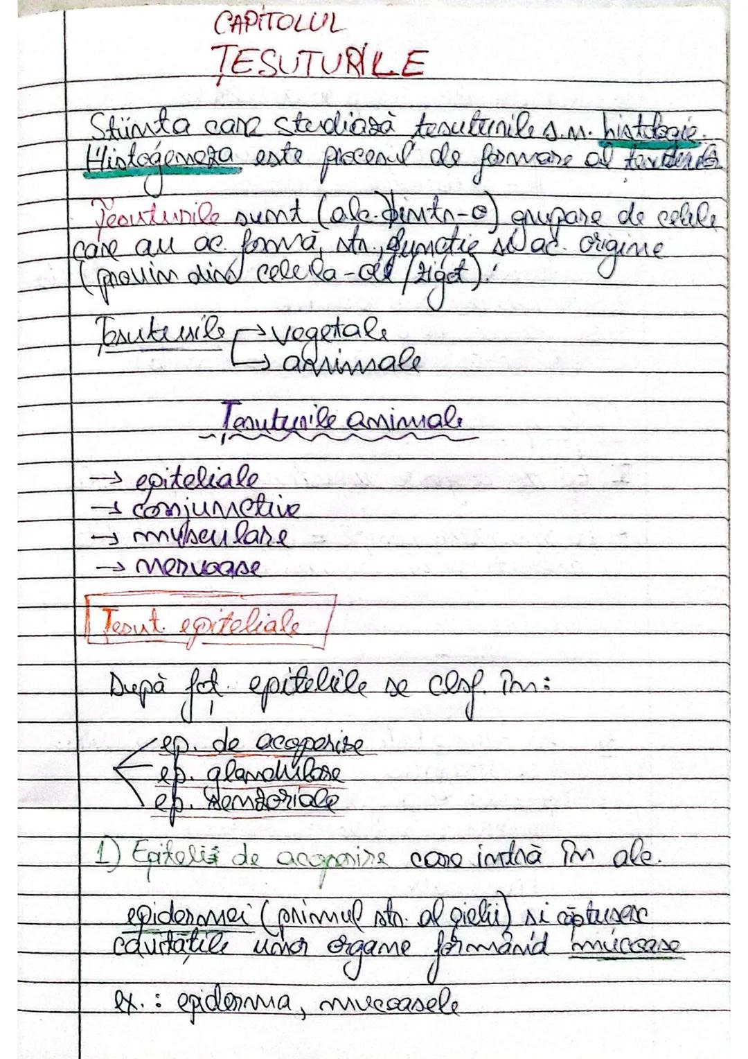 Capitolul Țesuturi-1.Țesuturi epiteliale