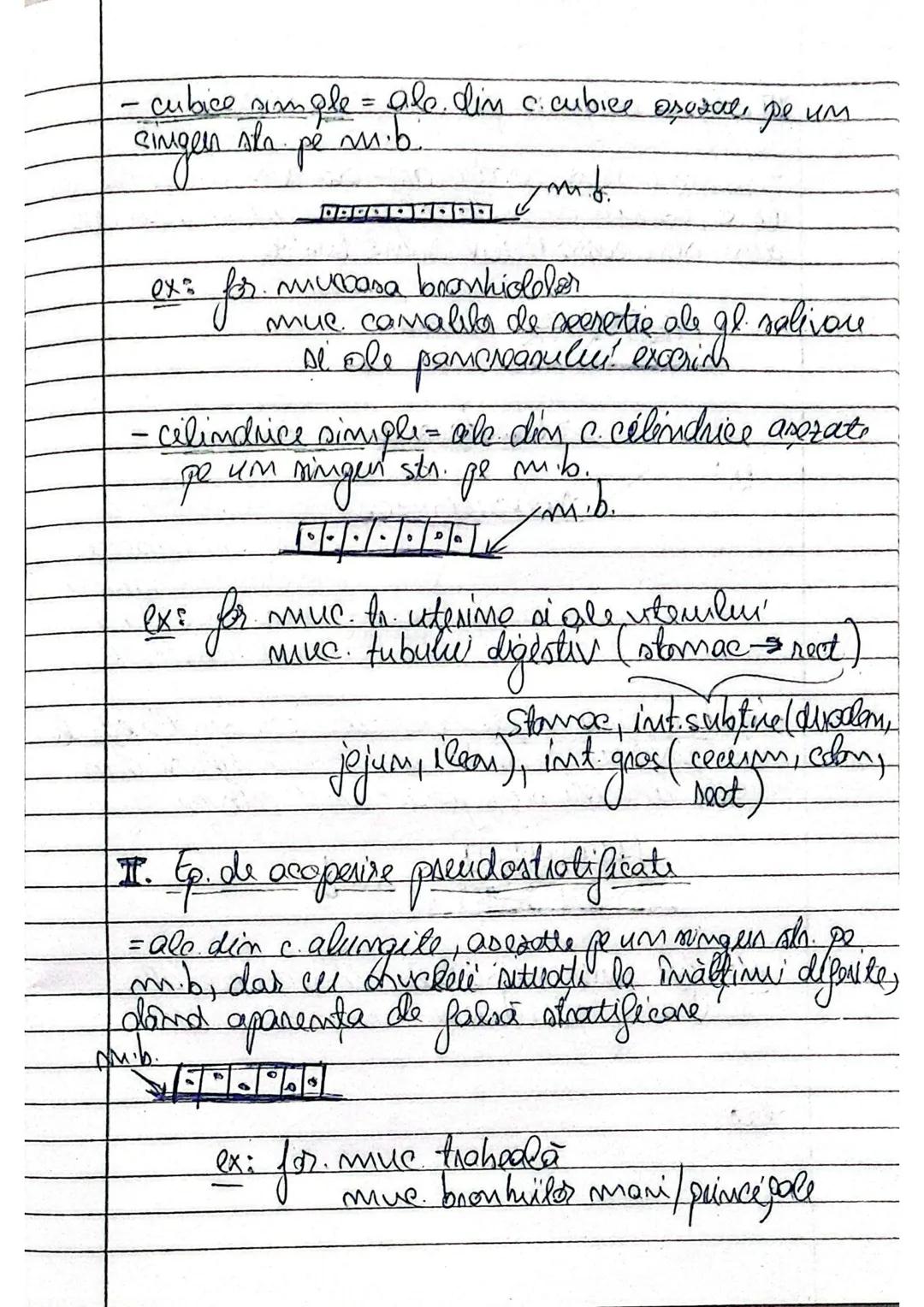 CAPITOLUL
TESUTURILE
Stünta care studiază tesuturile s. m. histologis..
Histoáeneza este precenl de formare al t
Tesuturile sunt (ale dintr-