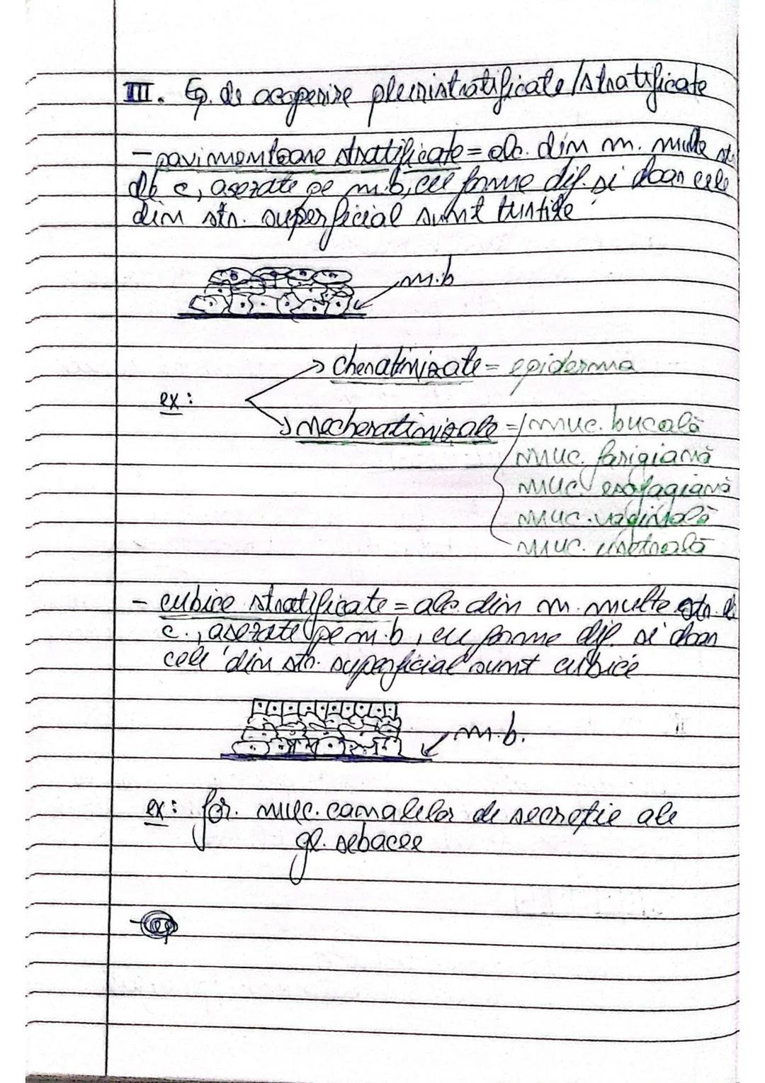CAPITOLUL
TESUTURILE
Stünta care studiază tesuturile s. m. histologis..
Histoáeneza este precenl de formare al t
Tesuturile sunt (ale dintr-