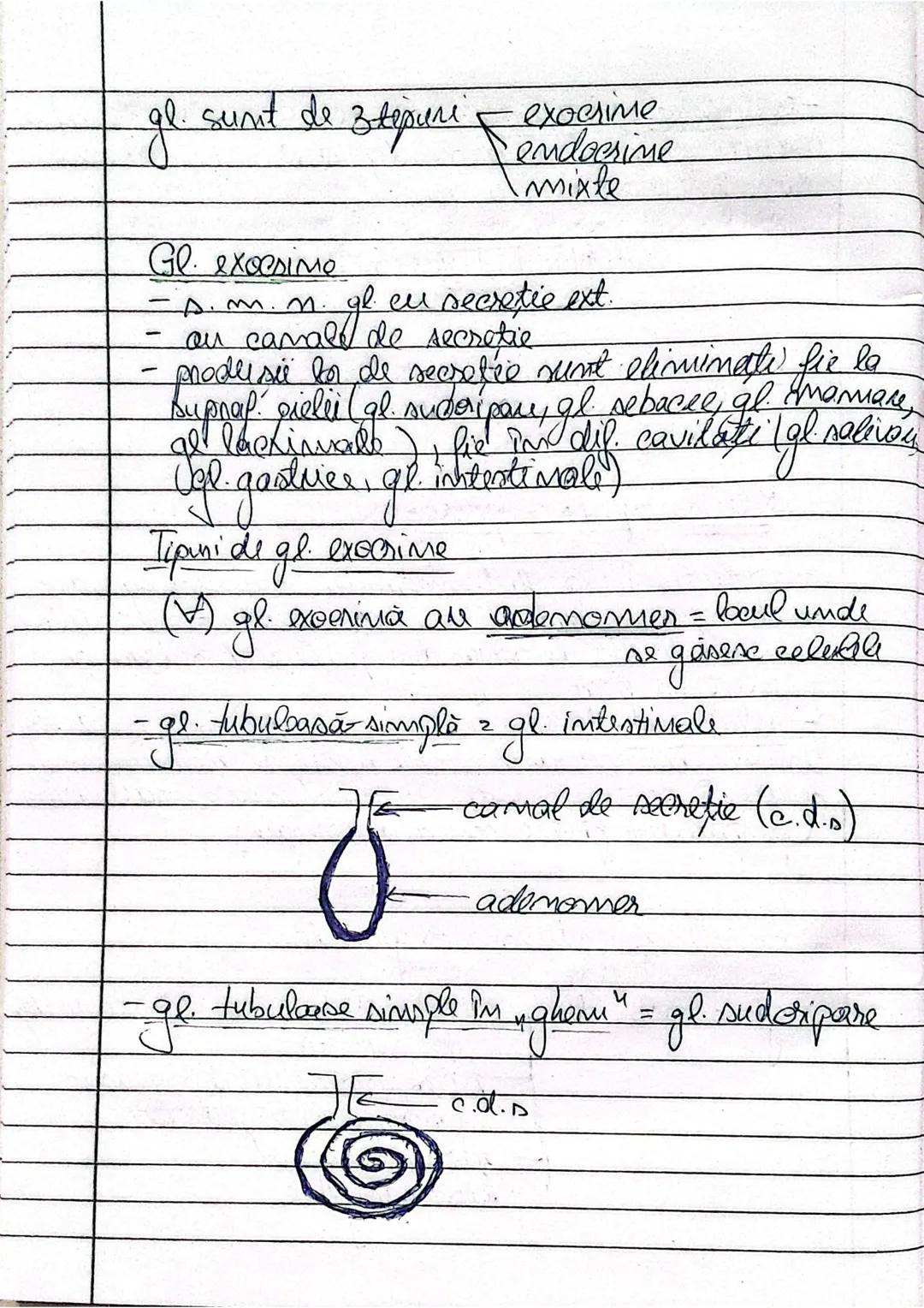 CAPITOLUL
TESUTURILE
Stünta care studiază tesuturile s. m. histologis..
Histoáeneza este precenl de formare al t
Tesuturile sunt (ale dintr-