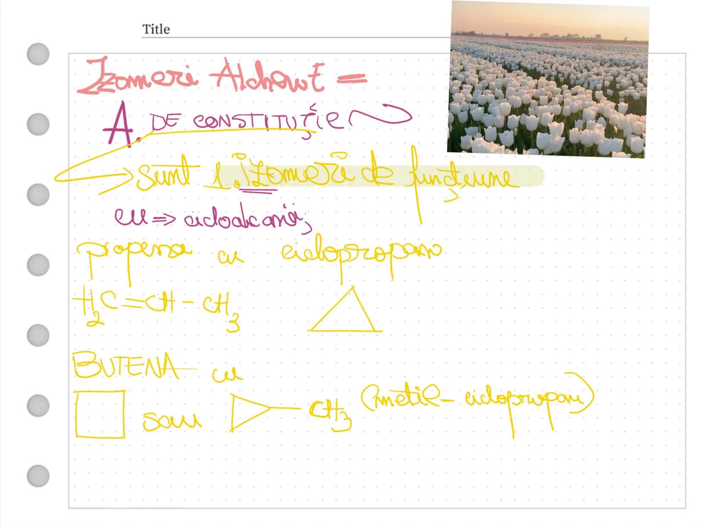 # Seaside coconut tree
*Hidreamburi*
NOTEBOOK
~Damaris~ Alcamii → NE=0 CnH2n+2
• sunt hidrocarburi
1. Alifatice
2. ACILICE
3. SATURATE
S