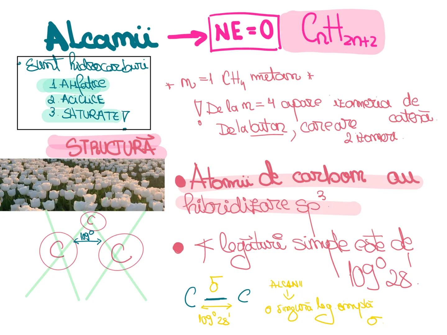 # Seaside coconut tree
*Hidreamburi*
NOTEBOOK
~Damaris~ Alcamii → NE=0 CnH2n+2
• sunt hidrocarburi
1. Alifatice
2. ACILICE
3. SATURATE
S