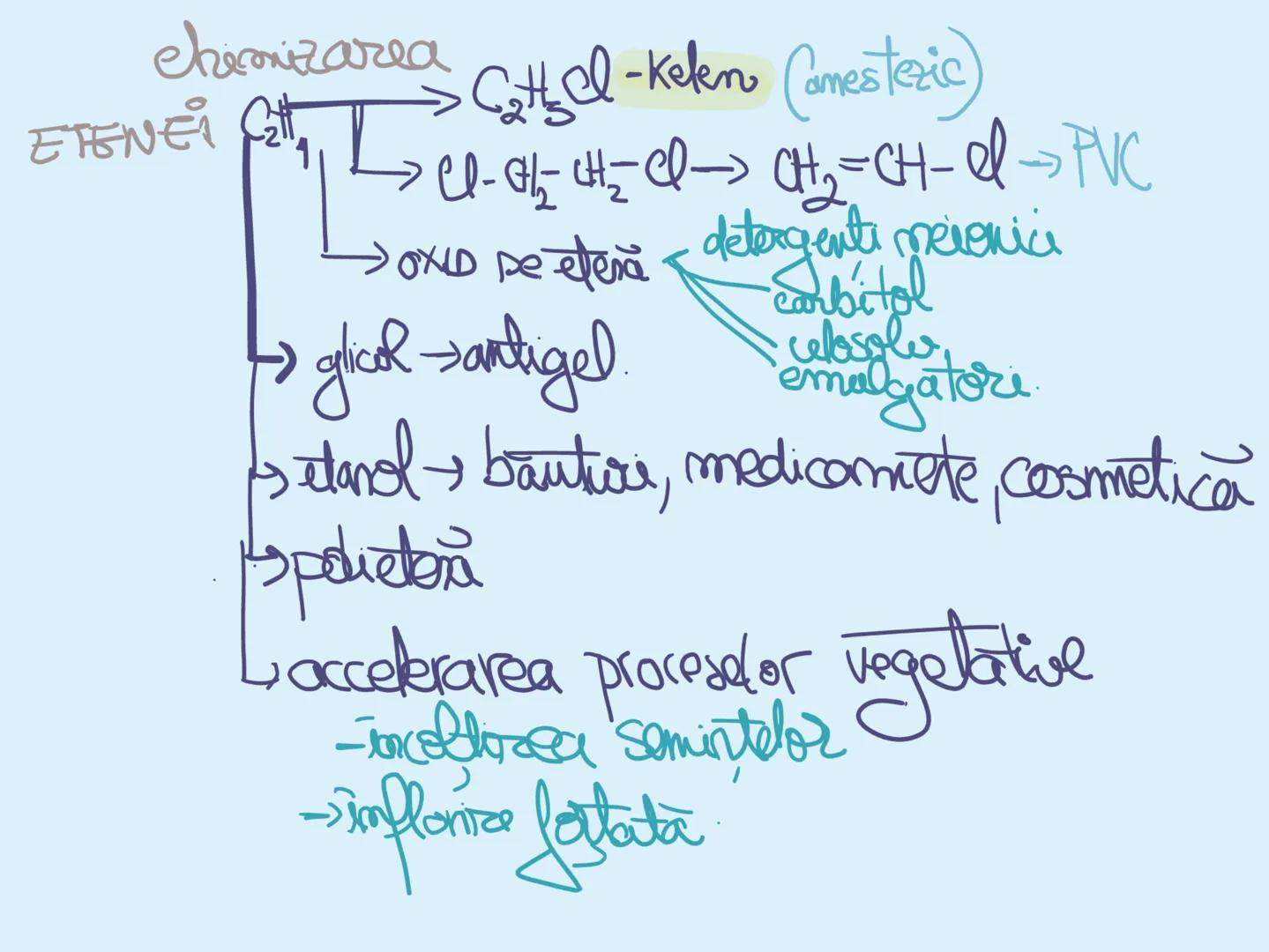# Seaside coconut tree
*Hidreamburi*
NOTEBOOK
~Damaris~ Alcamii → NE=0 CnH2n+2
• sunt hidrocarburi
1. Alifatice
2. ACILICE
3. SATURATE
S