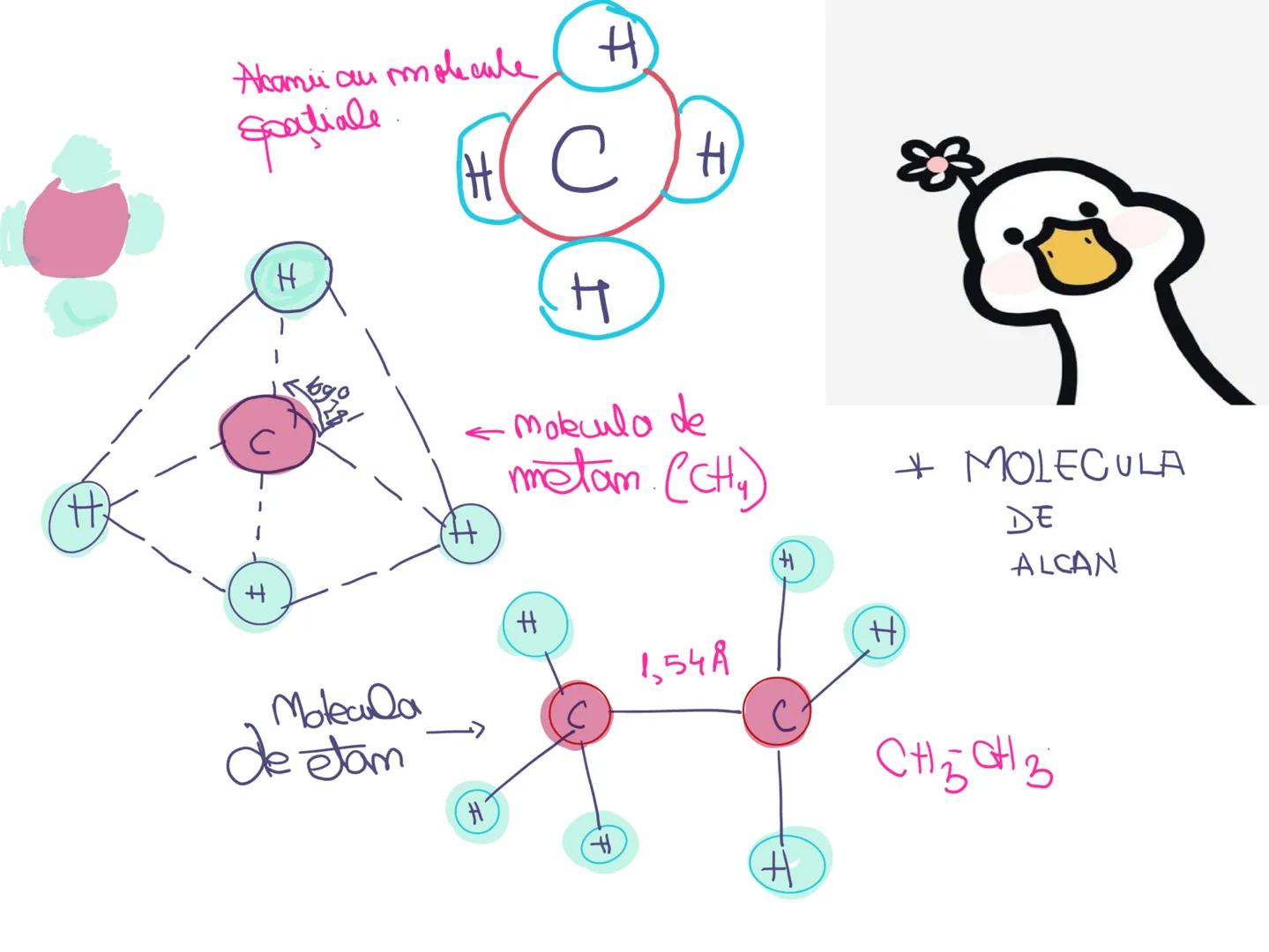 # Seaside coconut tree
*Hidreamburi*
NOTEBOOK
~Damaris~ Alcamii → NE=0 CnH2n+2
• sunt hidrocarburi
1. Alifatice
2. ACILICE
3. SATURATE
S