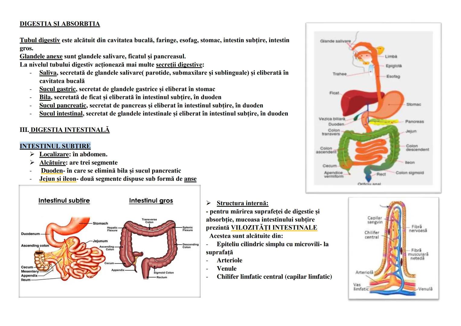 DIGESTIA SI ABSORBTIA
Tubul digestiv este alcătuit din cavitatea bucală, faringe, esofag, stomac, intestin subţire, intestin
gros.
Glandele