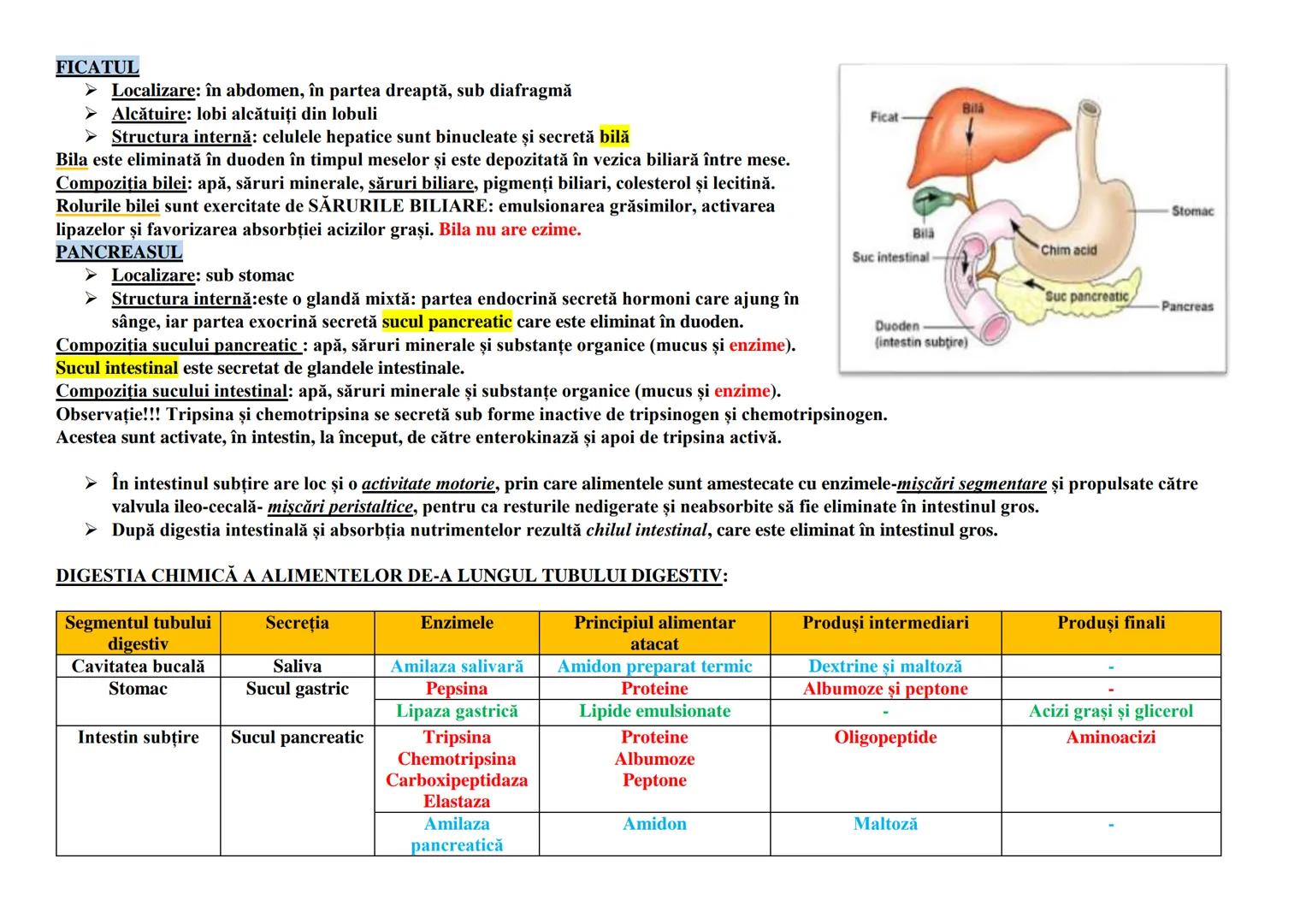 DIGESTIA SI ABSORBTIA
Tubul digestiv este alcătuit din cavitatea bucală, faringe, esofag, stomac, intestin subţire, intestin
gros.
Glandele