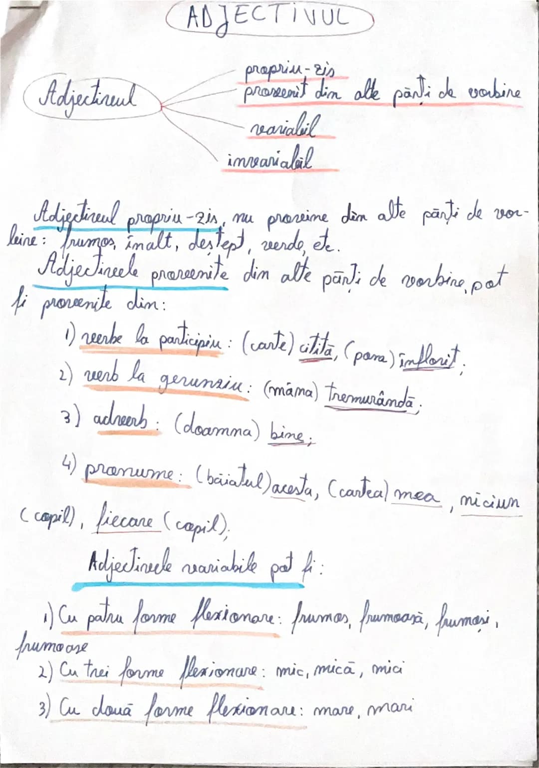 Adjectireul
ADJECTIVUL
propriu-zis
provenit din alle parti de vorbire
variabil
inreariabil
Adjectireul propriu-zis, nu prozeine dèm alte păr