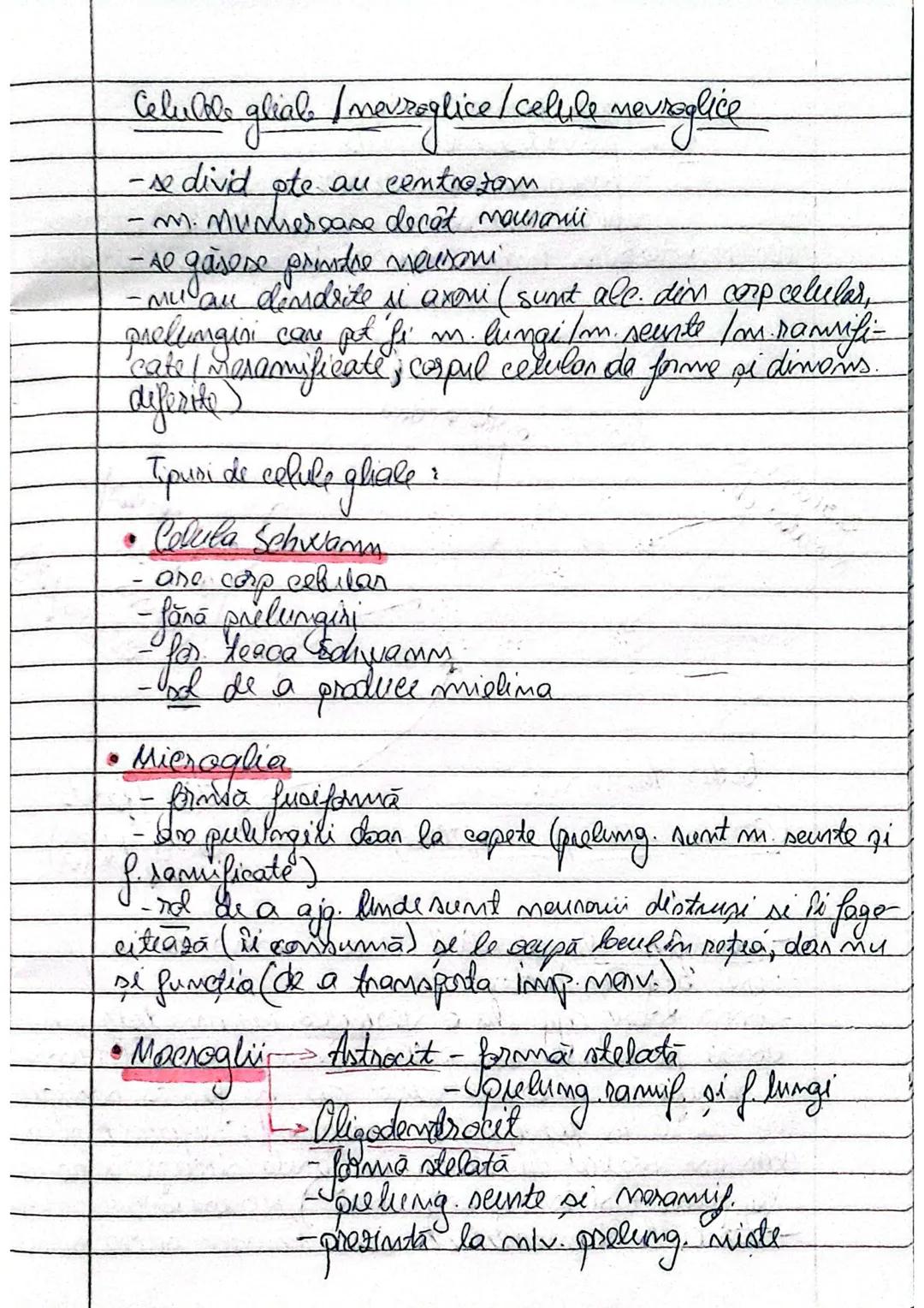 Tesutul nervos
E for. din 2 tipuri de celule:
- celule membose (neuron) in org. mono si in celule nervoase multiple
- celule gliale (celul