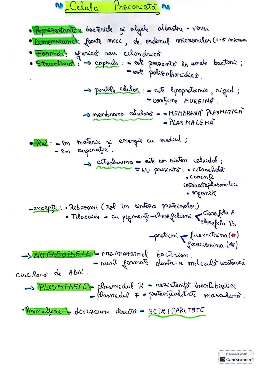 --- OCR Start ---
Celula Pracariată
• Reprezentanti: bacterile si algele albastre - verzi
• Dimensiuni: foarte mici, de ordinul micranilor (