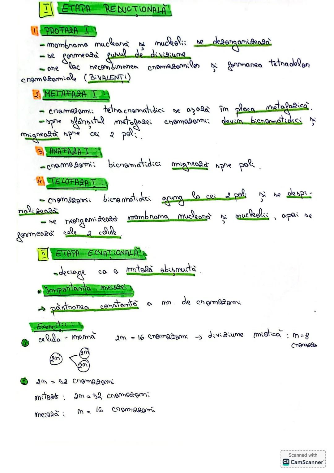 --- OCR Start ---
Ciclul celular
2
•Def: Ciclul celular este iniţiat de formarea unei noi celule
se încheie cu formarea a două celule fiice.