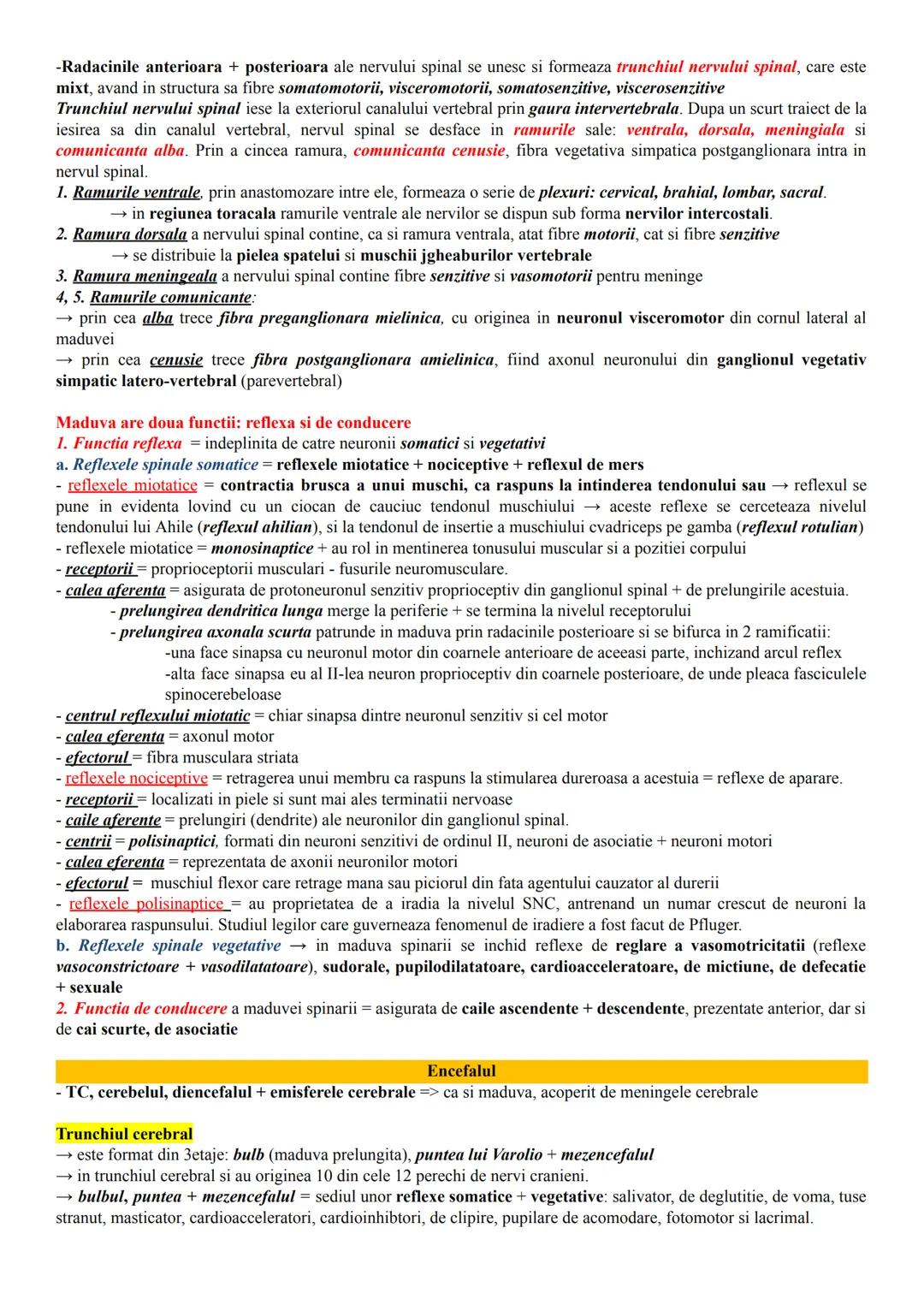 # ALCĂTUIREA CORPULUI UMAN
Topografia organelor si sistemelor de organe
- in corpul omenesc, celulele si tesuturile alcătuiesc organe si si