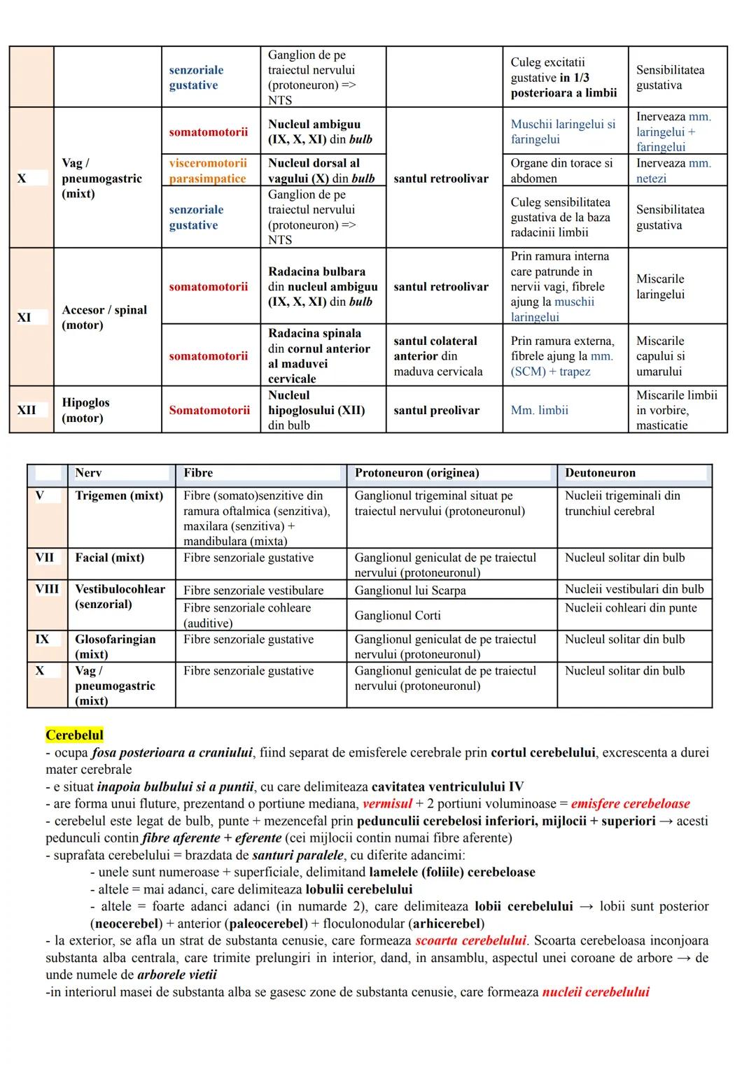 # ALCĂTUIREA CORPULUI UMAN
Topografia organelor si sistemelor de organe
- in corpul omenesc, celulele si tesuturile alcătuiesc organe si si