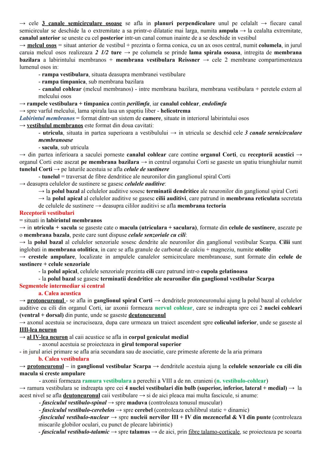 # ALCĂTUIREA CORPULUI UMAN
Topografia organelor si sistemelor de organe
- in corpul omenesc, celulele si tesuturile alcătuiesc organe si si