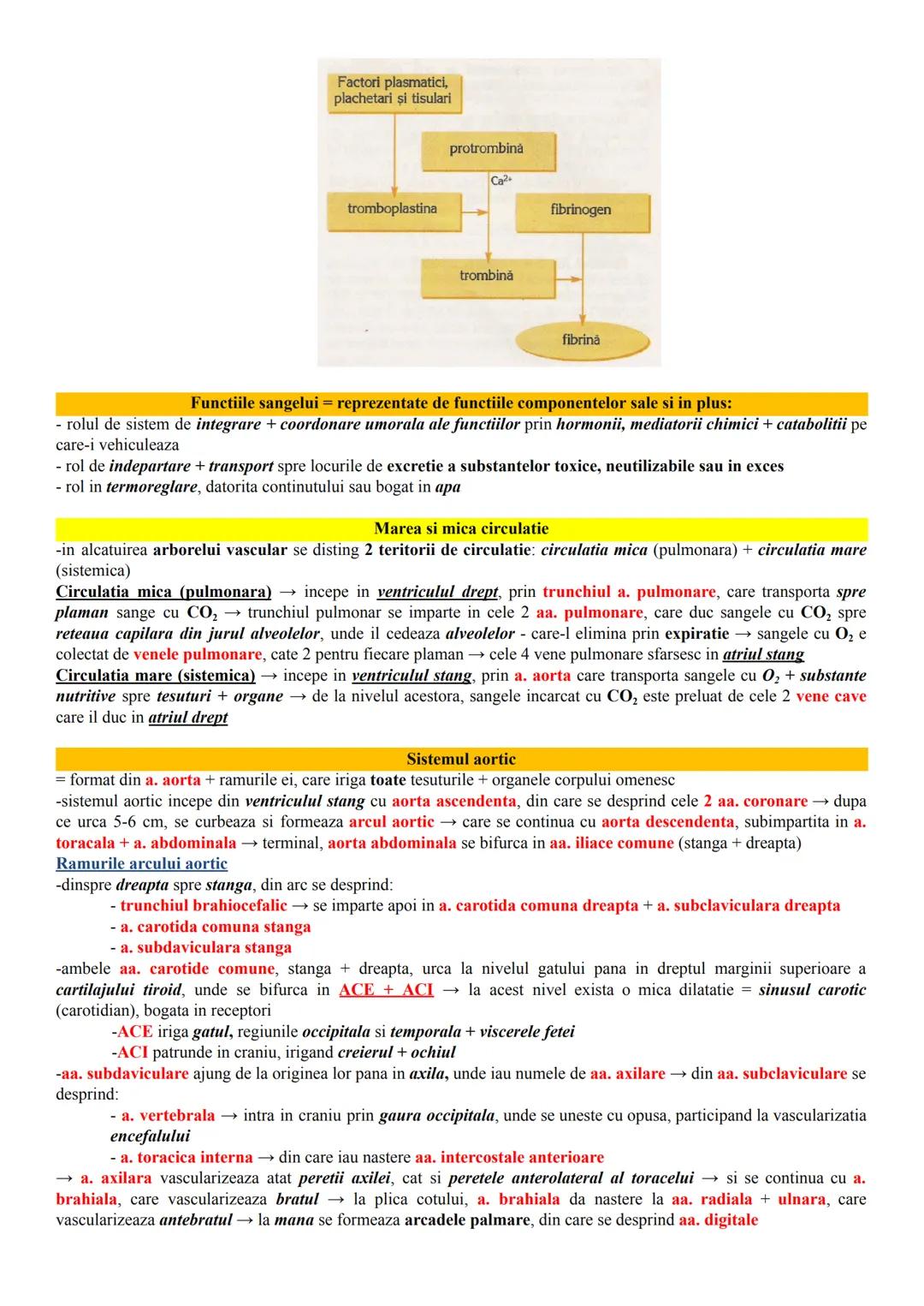 # ALCĂTUIREA CORPULUI UMAN
Topografia organelor si sistemelor de organe
- in corpul omenesc, celulele si tesuturile alcătuiesc organe si si