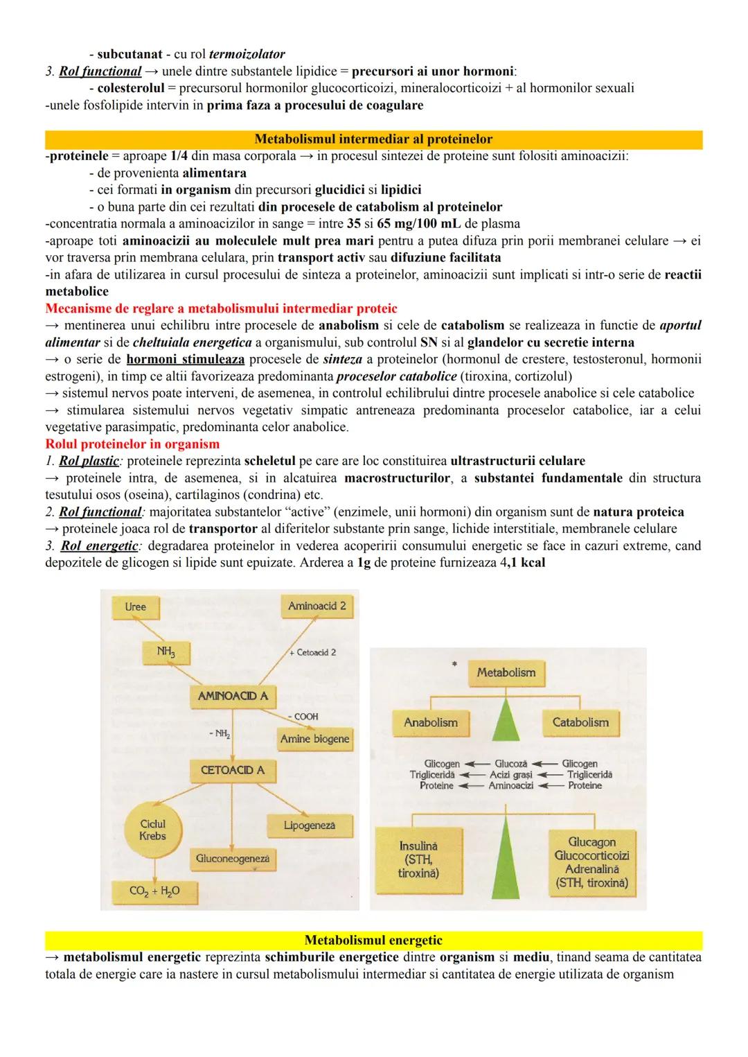 # ALCĂTUIREA CORPULUI UMAN
Topografia organelor si sistemelor de organe
- in corpul omenesc, celulele si tesuturile alcătuiesc organe si si