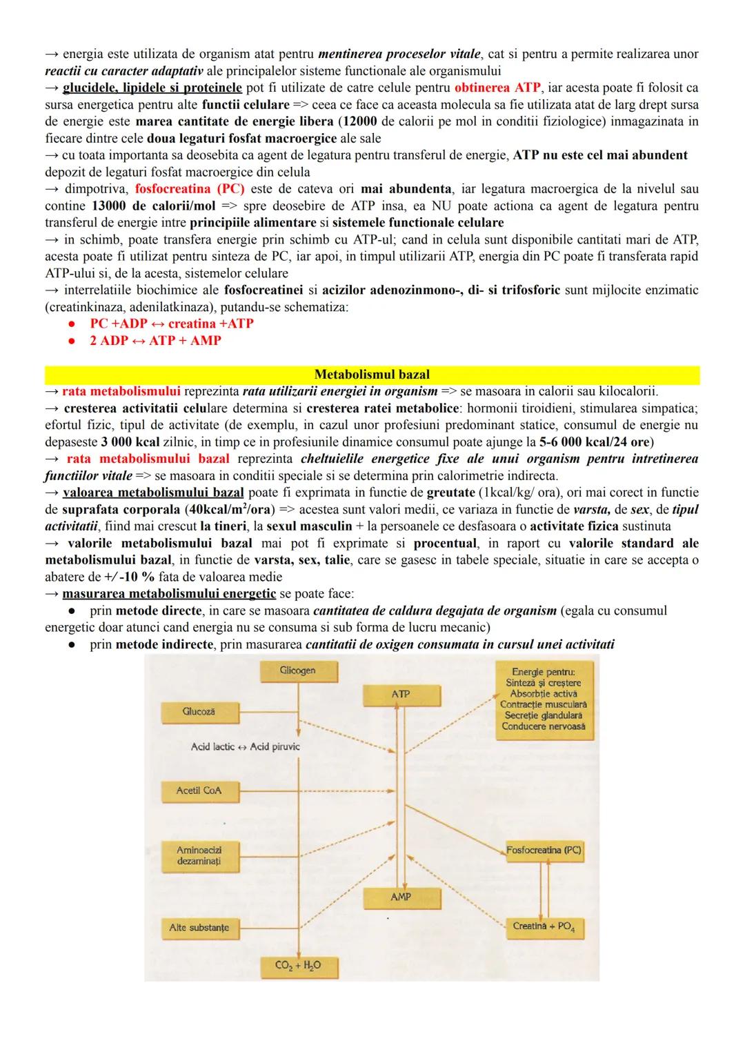 # ALCĂTUIREA CORPULUI UMAN
Topografia organelor si sistemelor de organe
- in corpul omenesc, celulele si tesuturile alcătuiesc organe si si