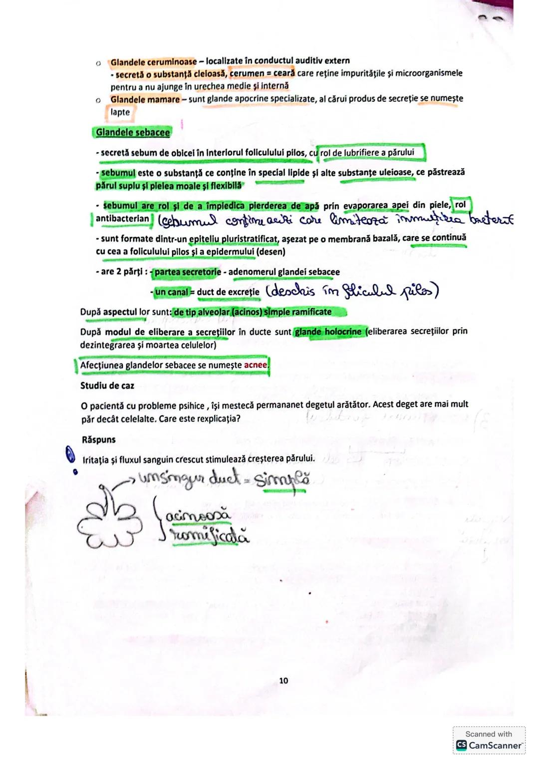 5. Sistemul tegumentar
Sistemul tegumentar este format din:
1.
Piele-cel mai important organ tegumentar
- cel mai mare organ al corpului u