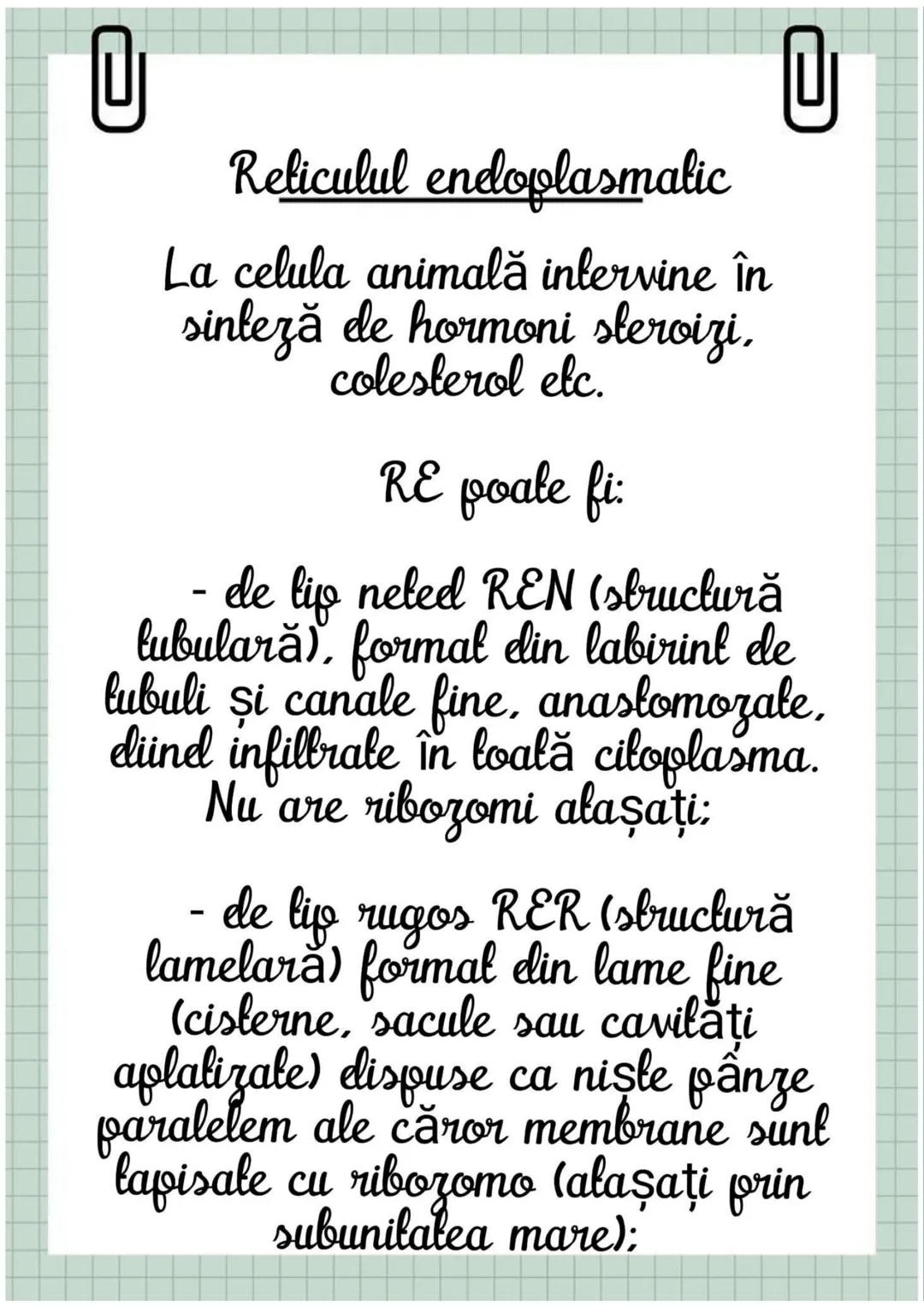 # Biologia
Celula eucariotă
~ Lecție~ 0
# Ce sunt eucariolele?
Organismele vii indiferent de
încadrarea lor sistematică, alică,
aparțin