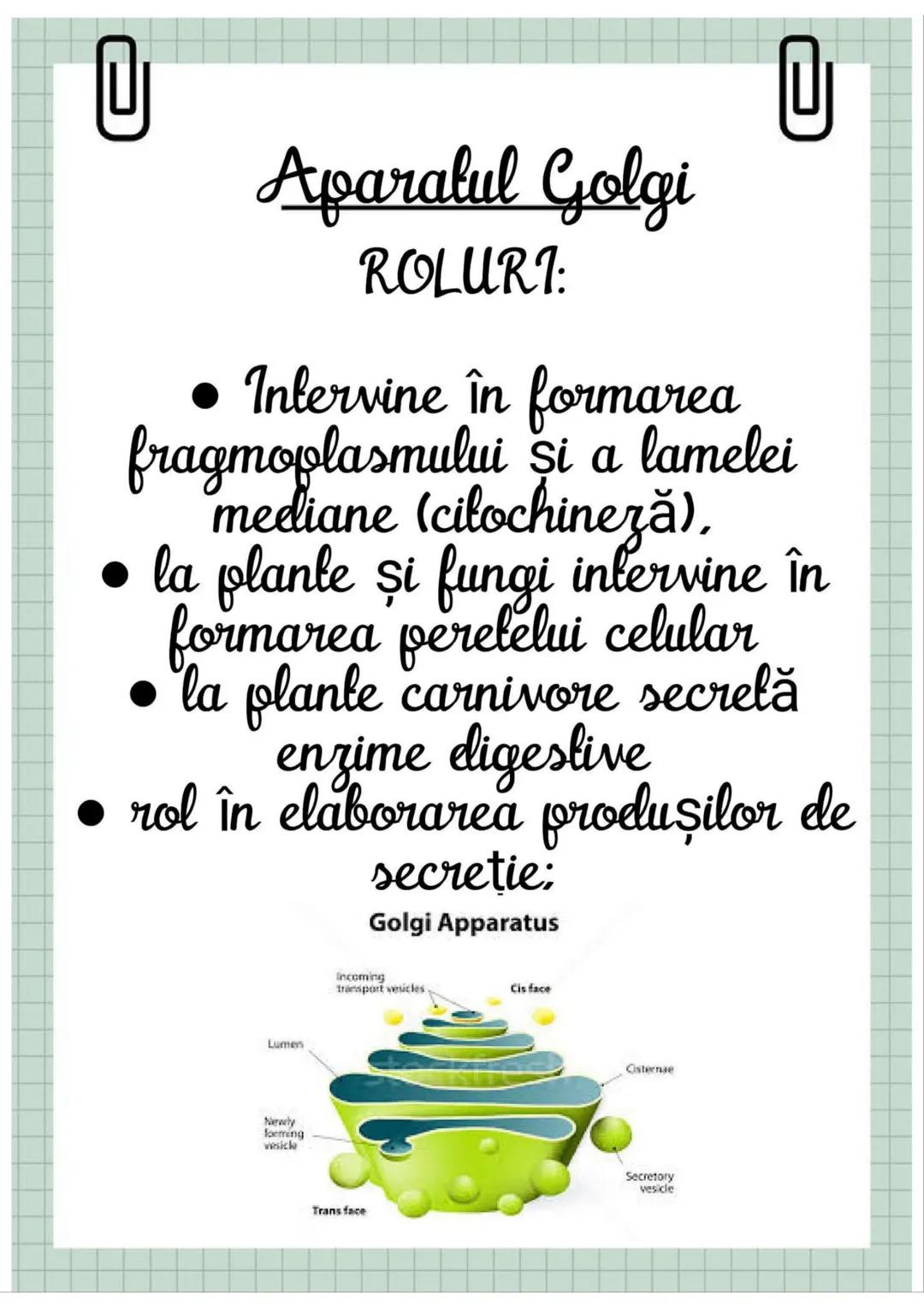 # Biologia
Celula eucariotă
~ Lecție~ 0
# Ce sunt eucariolele?
Organismele vii indiferent de
încadrarea lor sistematică, alică,
aparțin