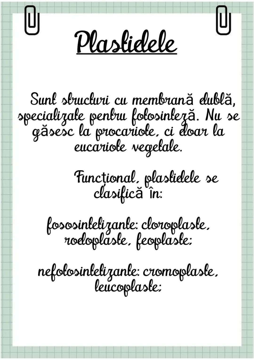 # Biologia
Celula eucariotă
~ Lecție~ 0
# Ce sunt eucariolele?
Organismele vii indiferent de
încadrarea lor sistematică, alică,
aparțin