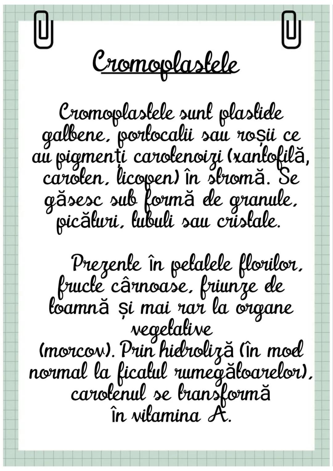 # Biologia
Celula eucariotă
~ Lecție~ 0
# Ce sunt eucariolele?
Organismele vii indiferent de
încadrarea lor sistematică, alică,
aparțin