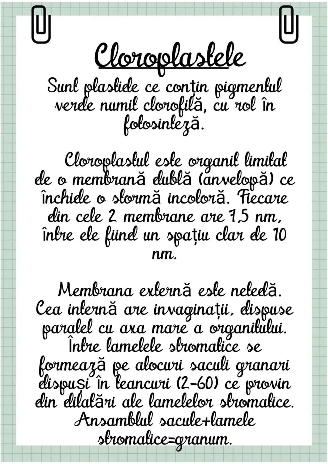 # Biologia
Celula eucariotă
~ Lecție~ 0
# Ce sunt eucariolele?
Organismele vii indiferent de
încadrarea lor sistematică, alică,
aparțin