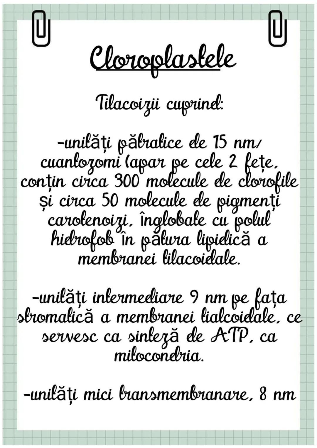 # Biologia
Celula eucariotă
~ Lecție~ 0
# Ce sunt eucariolele?
Organismele vii indiferent de
încadrarea lor sistematică, alică,
aparțin