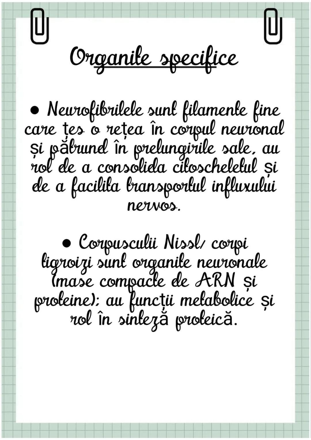 # Biologia
Celula eucariotă
~ Lecție~ 0
# Ce sunt eucariolele?
Organismele vii indiferent de
încadrarea lor sistematică, alică,
aparțin