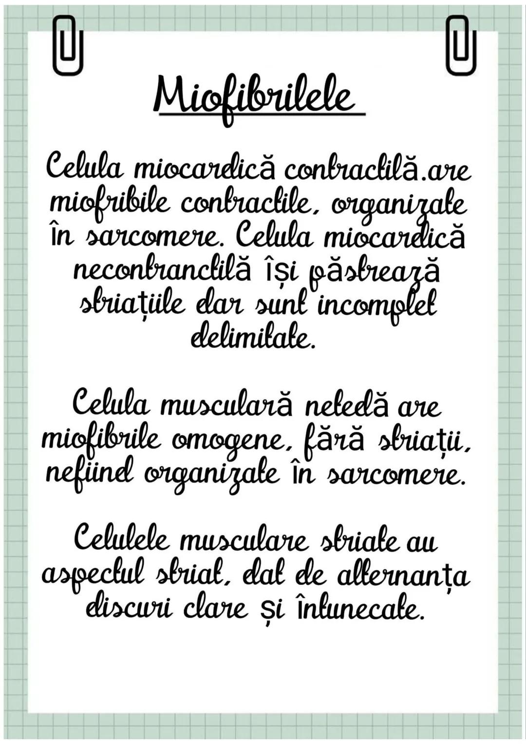 # Biologia
Celula eucariotă
~ Lecție~ 0
# Ce sunt eucariolele?
Organismele vii indiferent de
încadrarea lor sistematică, alică,
aparțin