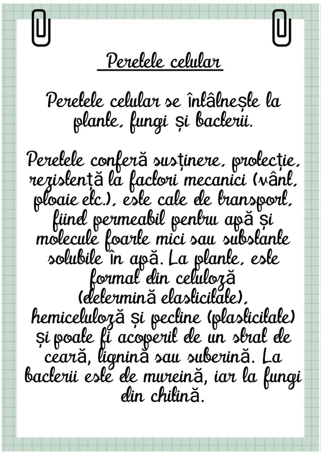 # Biologia
Celula eucariotă
~ Lecție~ 0
# Ce sunt eucariolele?
Organismele vii indiferent de
încadrarea lor sistematică, alică,
aparțin