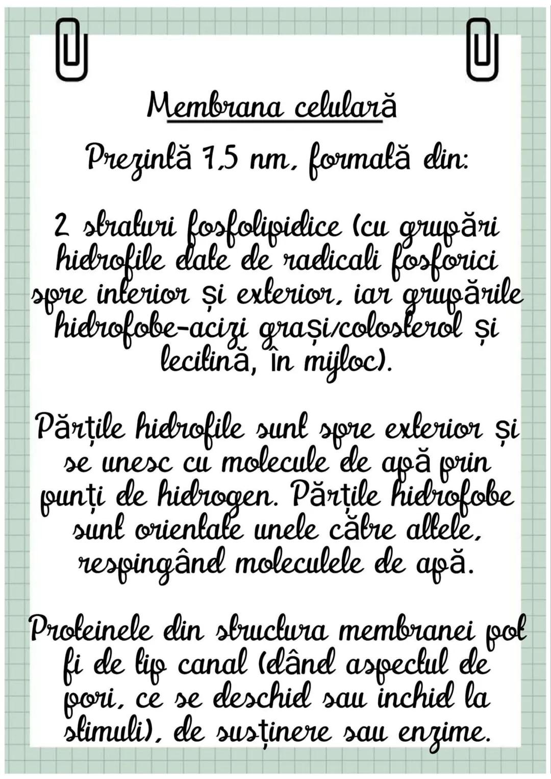 # Biologia
Celula eucariotă
~ Lecție~ 0
# Ce sunt eucariolele?
Organismele vii indiferent de
încadrarea lor sistematică, alică,
aparțin