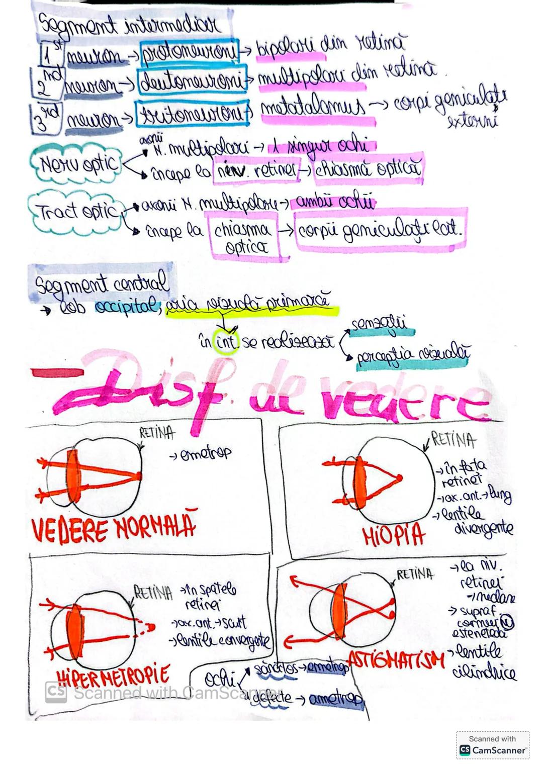- ANALIZATORLE
- segmente-
* periferic $\rightarrow$ energia stimulului transforma impuls
tromsmis
mervos
* intermediars cai ner asc. im