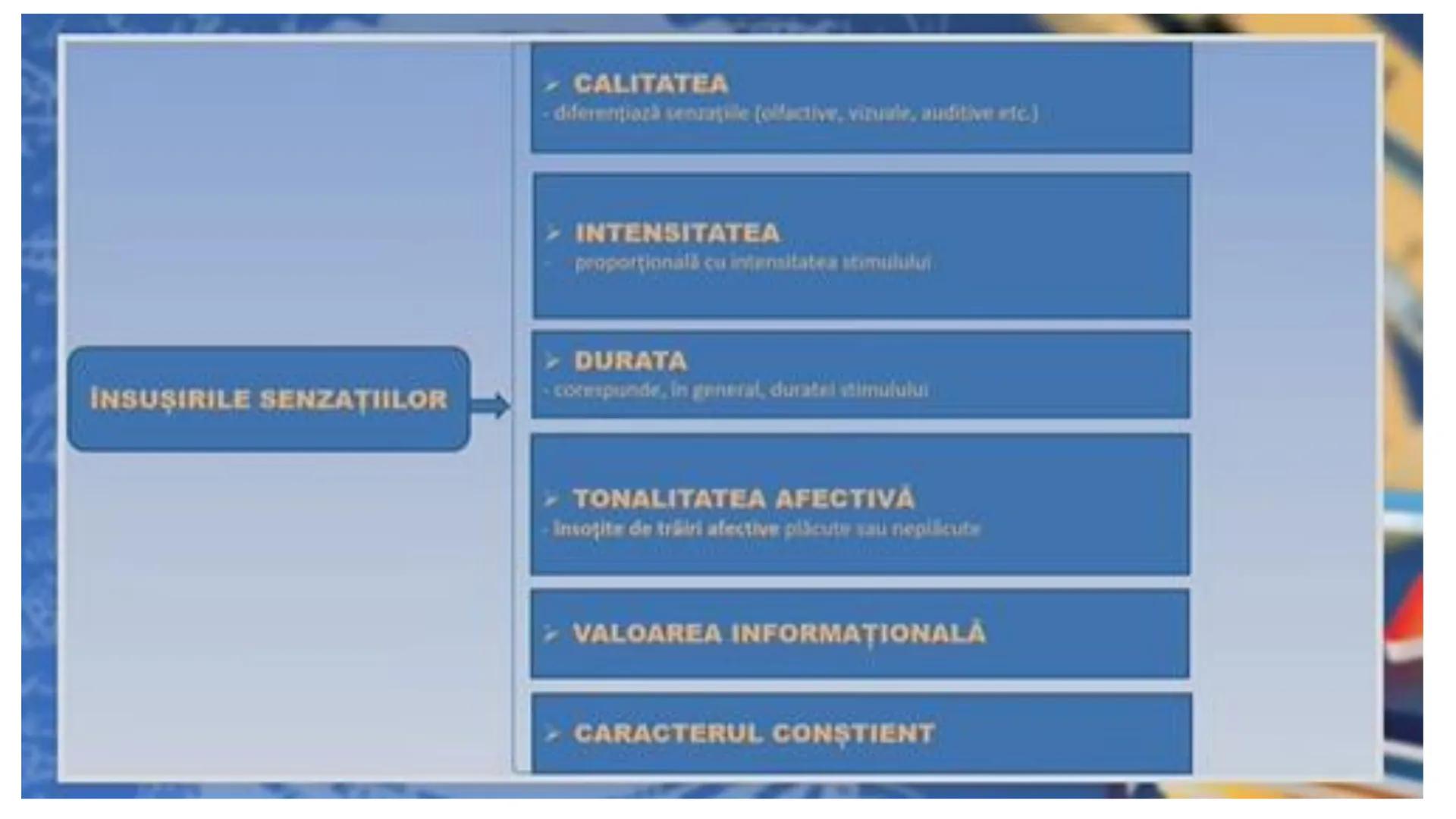 I. PROCESE PSIHICE COGNITIVE SENZORIALE
SENZAŢII, PERCEPȚII, REPREZENTĂRI
II. PROCESE PSIHICE COGNITIVE SUPERIOARE:
GÂNDIREA, MEMORIA, IMAGI