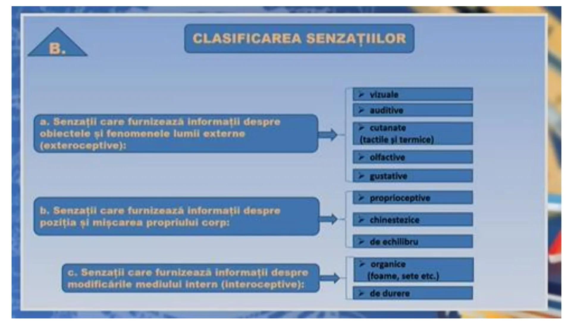 I. PROCESE PSIHICE COGNITIVE SENZORIALE
SENZAŢII, PERCEPȚII, REPREZENTĂRI
II. PROCESE PSIHICE COGNITIVE SUPERIOARE:
GÂNDIREA, MEMORIA, IMAGI