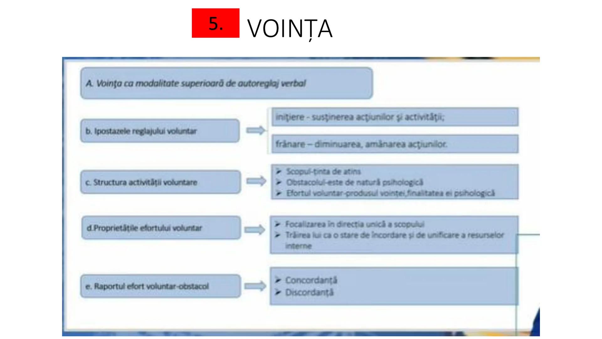 I. PROCESE PSIHICE COGNITIVE SENZORIALE
SENZAŢII, PERCEPȚII, REPREZENTĂRI
II. PROCESE PSIHICE COGNITIVE SUPERIOARE:
GÂNDIREA, MEMORIA, IMAGI