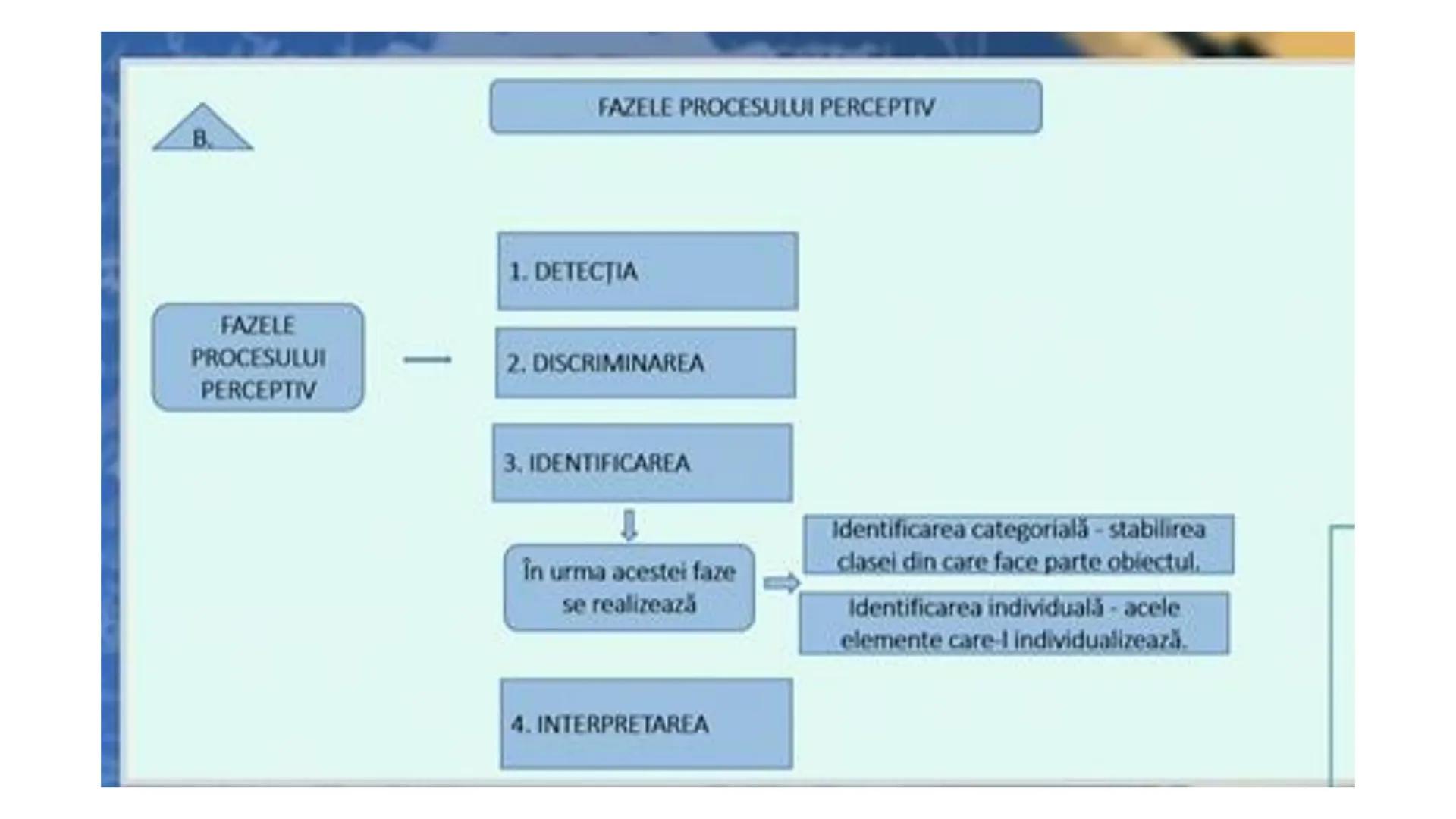 I. PROCESE PSIHICE COGNITIVE SENZORIALE
SENZAŢII, PERCEPȚII, REPREZENTĂRI
II. PROCESE PSIHICE COGNITIVE SUPERIOARE:
GÂNDIREA, MEMORIA, IMAGI