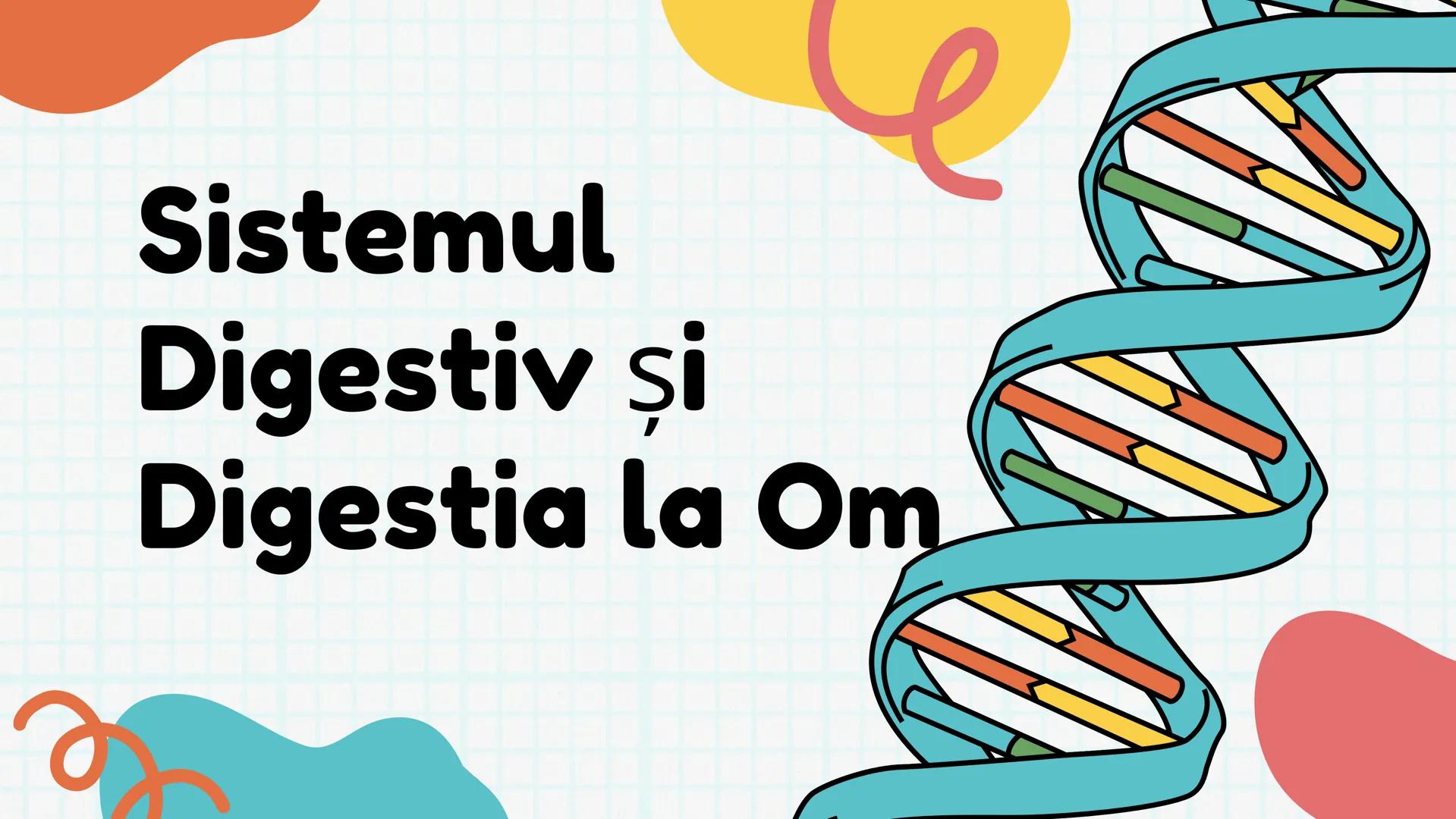 # Sistemul
# Digestiv și
# Digestia la Om Introducere
Sistemul digestiv este unul dintre cele mai
importante sisteme ale organismului uman.