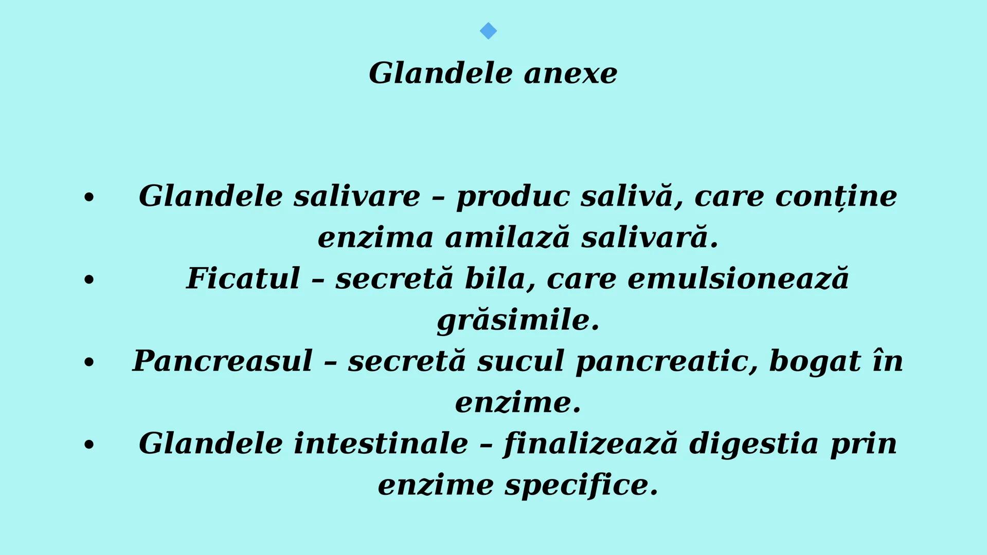 # Sistemul
# Digestiv și
# Digestia la Om Introducere
Sistemul digestiv este unul dintre cele mai
importante sisteme ale organismului uman.