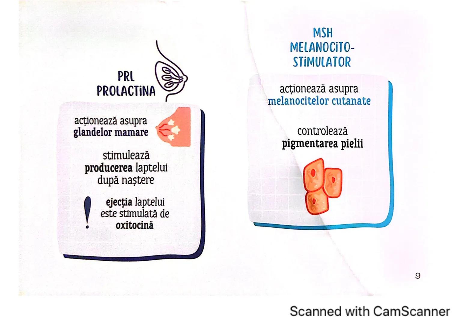 # MEDICINIST
# SISTEMUL
# ENDOCRIN
Scanned with CamScanner # SISTEMUL ENDOCRIN
# CUPRINDE:
GLANDE ENDOCRINE
CELULE ENDOCRINE
dispuse di