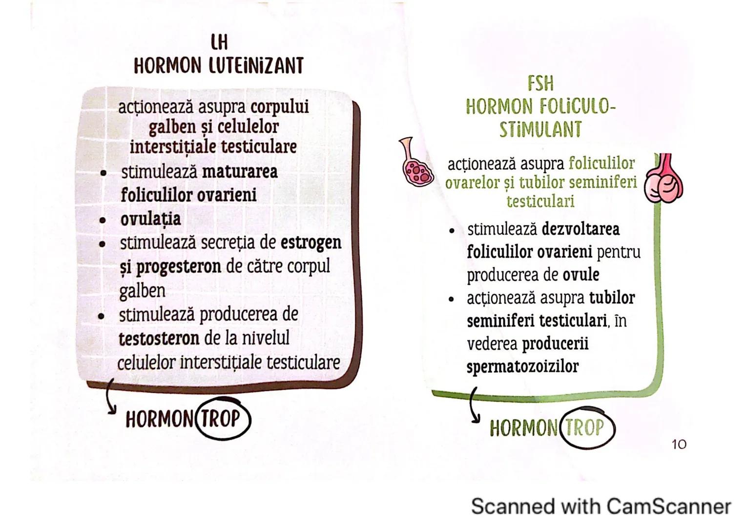 # MEDICINIST
# SISTEMUL
# ENDOCRIN
Scanned with CamScanner # SISTEMUL ENDOCRIN
# CUPRINDE:
GLANDE ENDOCRINE
CELULE ENDOCRINE
dispuse di