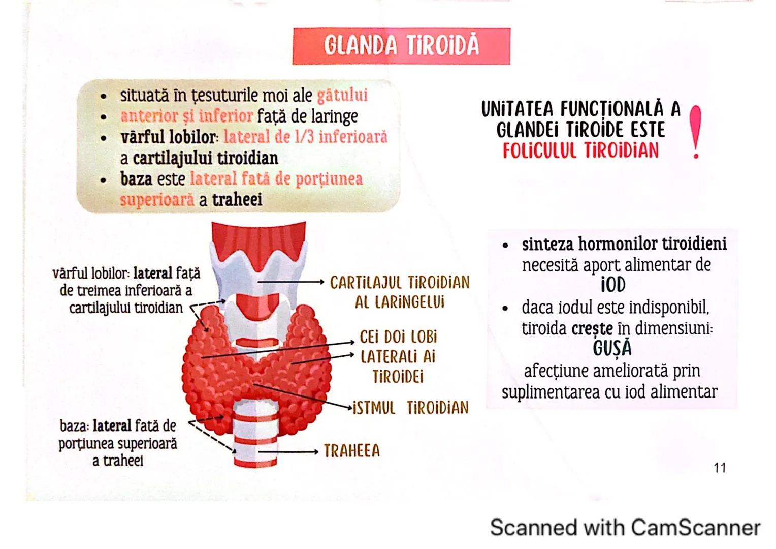 # MEDICINIST
# SISTEMUL
# ENDOCRIN
Scanned with CamScanner # SISTEMUL ENDOCRIN
# CUPRINDE:
GLANDE ENDOCRINE
CELULE ENDOCRINE
dispuse di