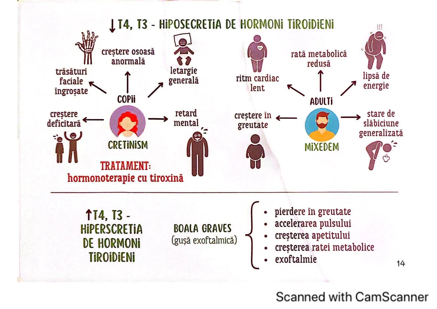 # MEDICINIST
# SISTEMUL
# ENDOCRIN
Scanned with CamScanner # SISTEMUL ENDOCRIN
# CUPRINDE:
GLANDE ENDOCRINE
CELULE ENDOCRINE
dispuse di