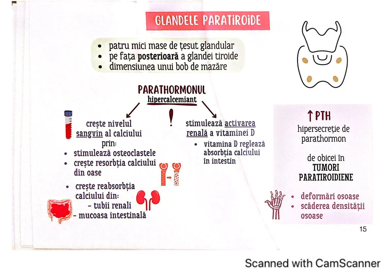 # MEDICINIST
# SISTEMUL
# ENDOCRIN
Scanned with CamScanner # SISTEMUL ENDOCRIN
# CUPRINDE:
GLANDE ENDOCRINE
CELULE ENDOCRINE
dispuse di