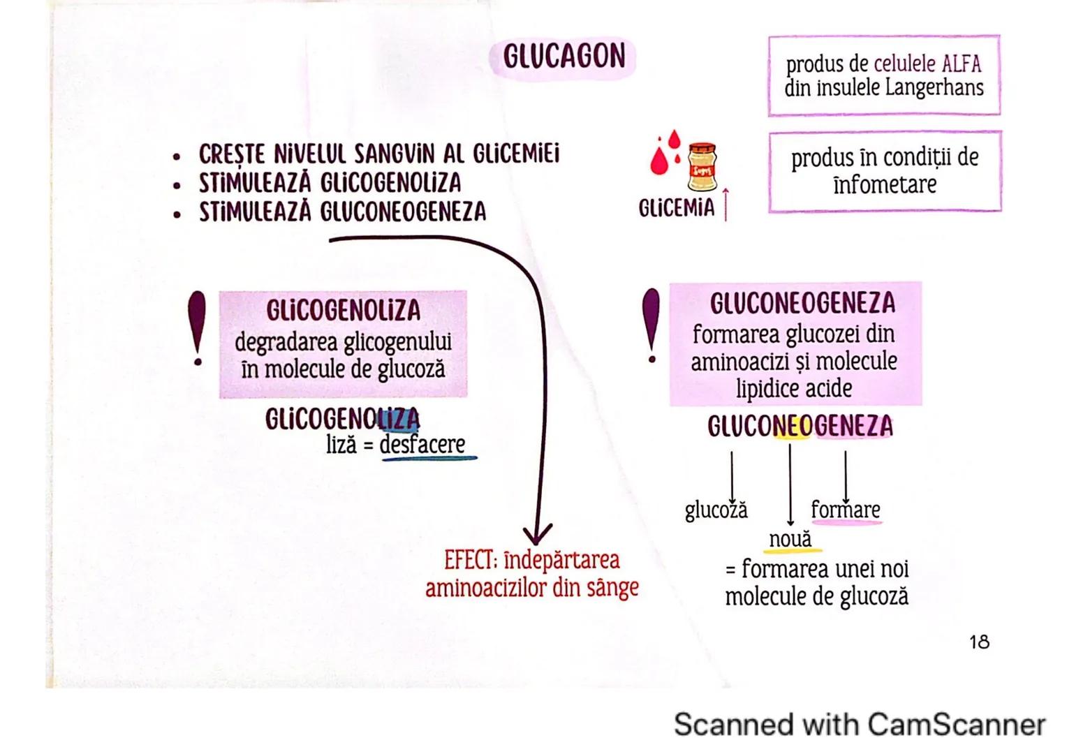 # MEDICINIST
# SISTEMUL
# ENDOCRIN
Scanned with CamScanner # SISTEMUL ENDOCRIN
# CUPRINDE:
GLANDE ENDOCRINE
CELULE ENDOCRINE
dispuse di