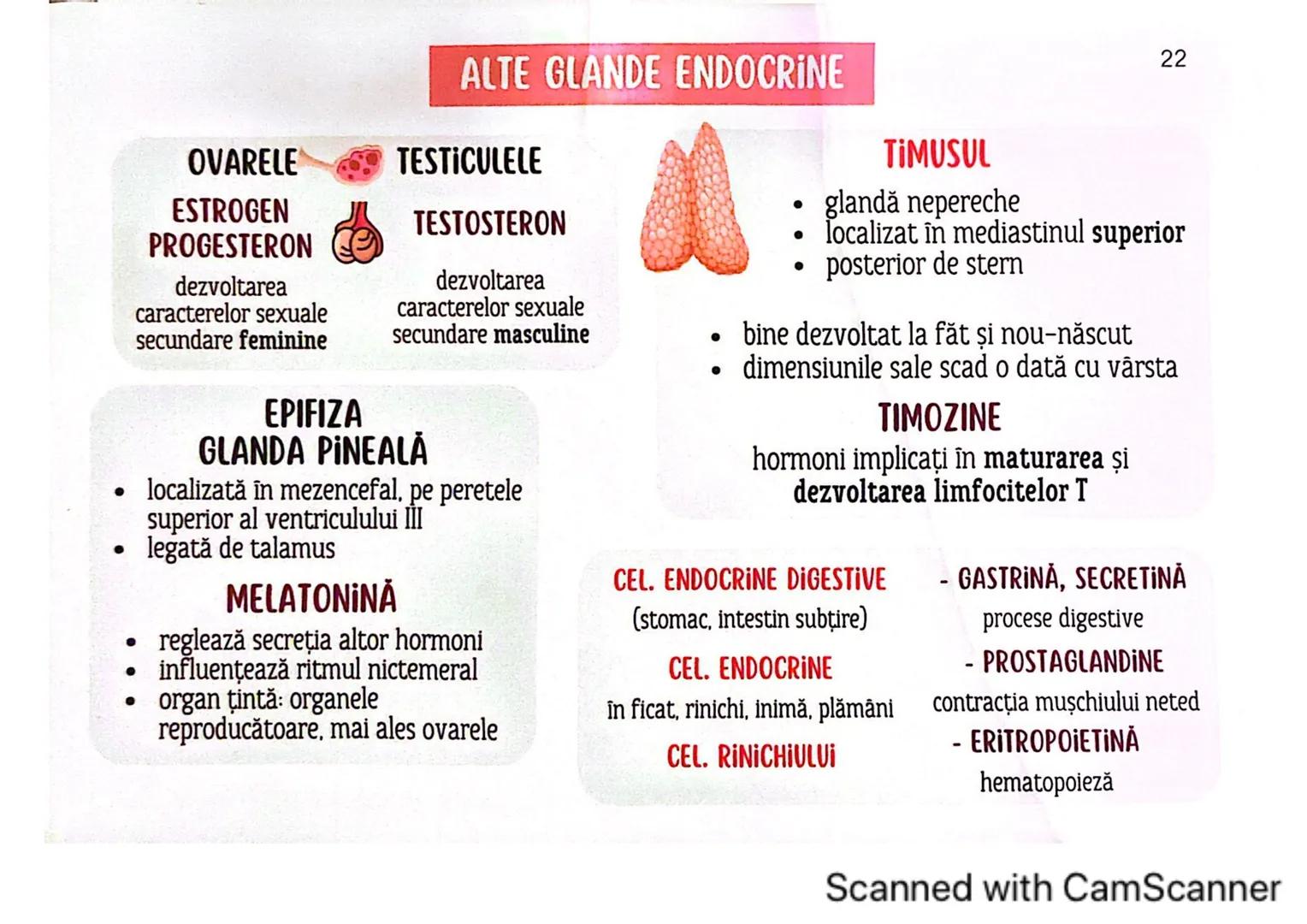 # MEDICINIST
# SISTEMUL
# ENDOCRIN
Scanned with CamScanner # SISTEMUL ENDOCRIN
# CUPRINDE:
GLANDE ENDOCRINE
CELULE ENDOCRINE
dispuse di