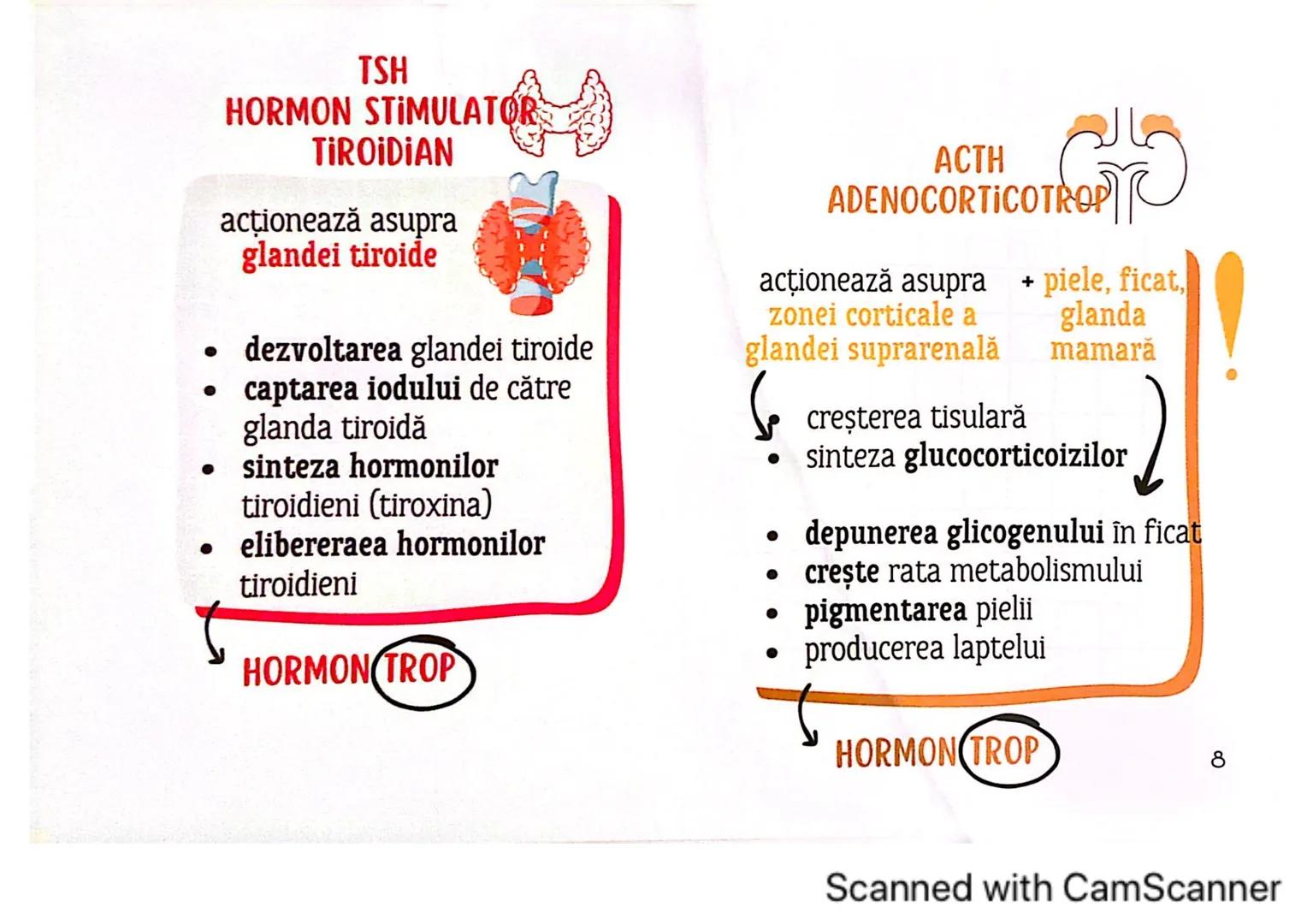 # MEDICINIST
# SISTEMUL
# ENDOCRIN
Scanned with CamScanner # SISTEMUL ENDOCRIN
# CUPRINDE:
GLANDE ENDOCRINE
CELULE ENDOCRINE
dispuse di